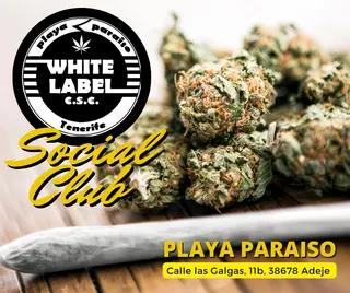 CSC White Label, photo 7