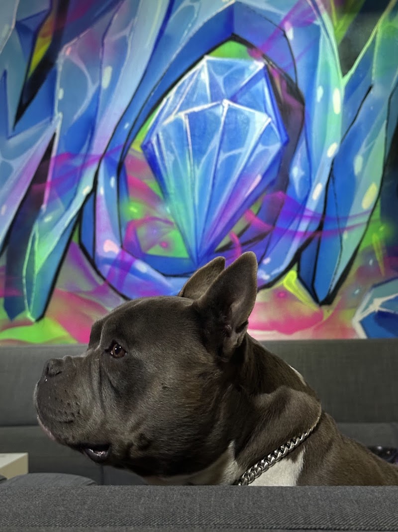 Diamond smokers club, photo 7