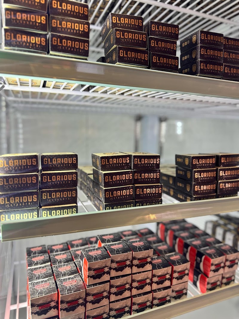 Oasis Cannabis, photo 7