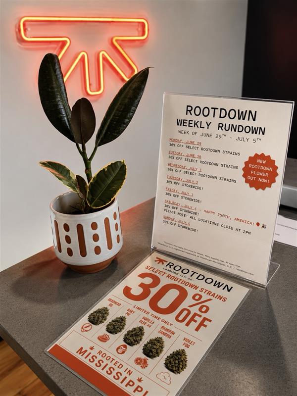 ROOTDOWN, photo 7