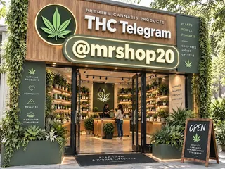 Seren Ibiza CBD SHOP, photo 7