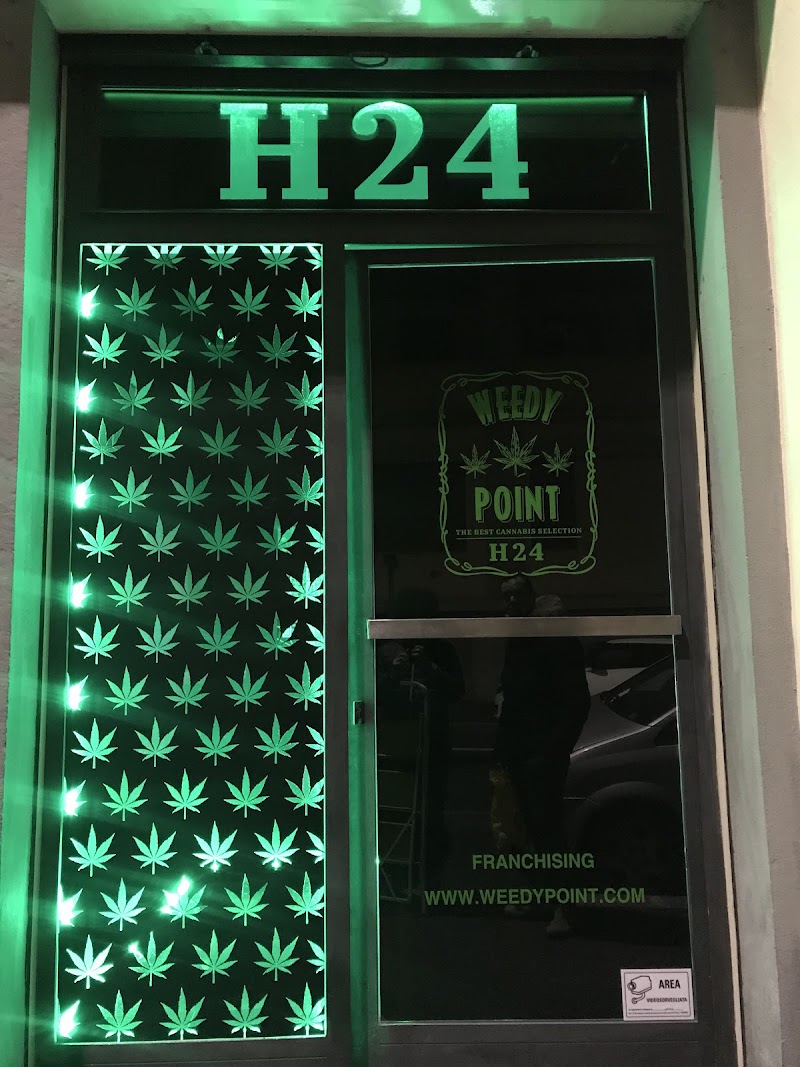 Weedy Point H24, photo 7