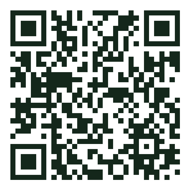 QR code for El Dingo