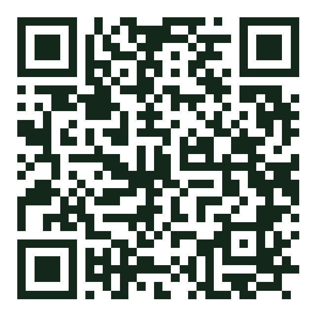 Código QR de Pirate Town