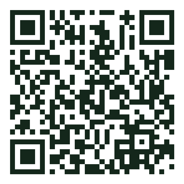 Codice QR di The Plug - Brooklyn