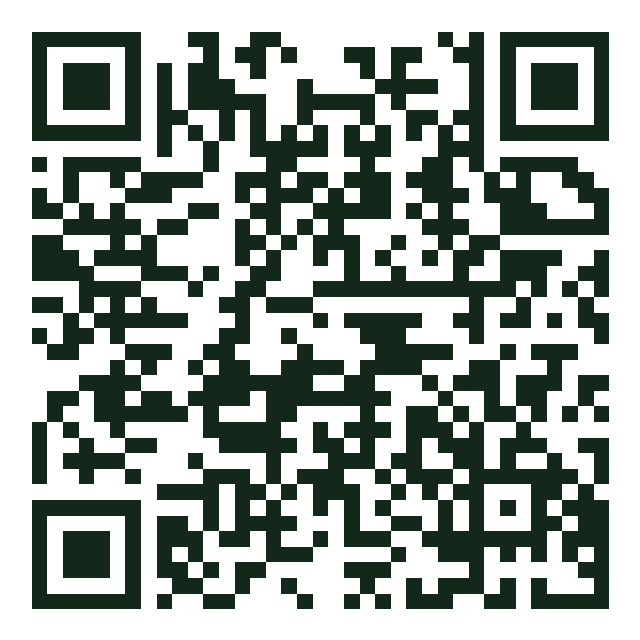 Kod QR lokalu The Plug Denia