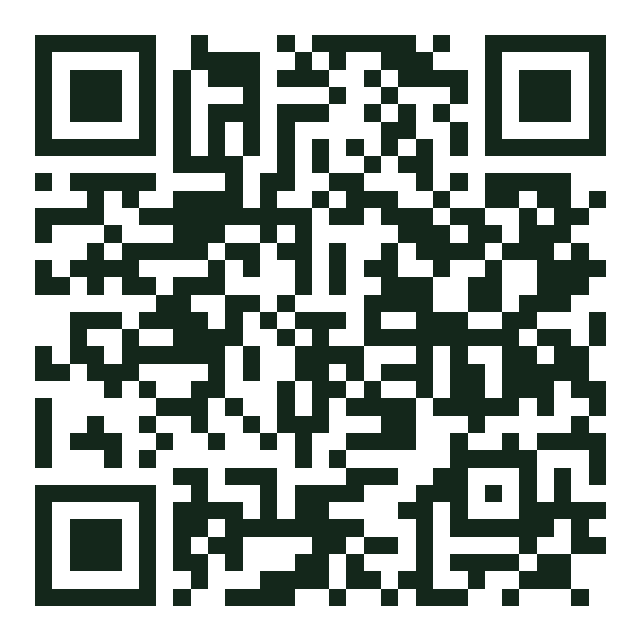 QR-Code für the.plug.denia
