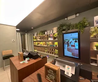 The Alchemy Chelsea – Licensed Cannabis Dispensary & Free Delivery, photo 7