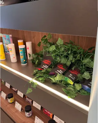 The Alchemy Chelsea – Licensed Cannabis Dispensary & Free Delivery, photo 5